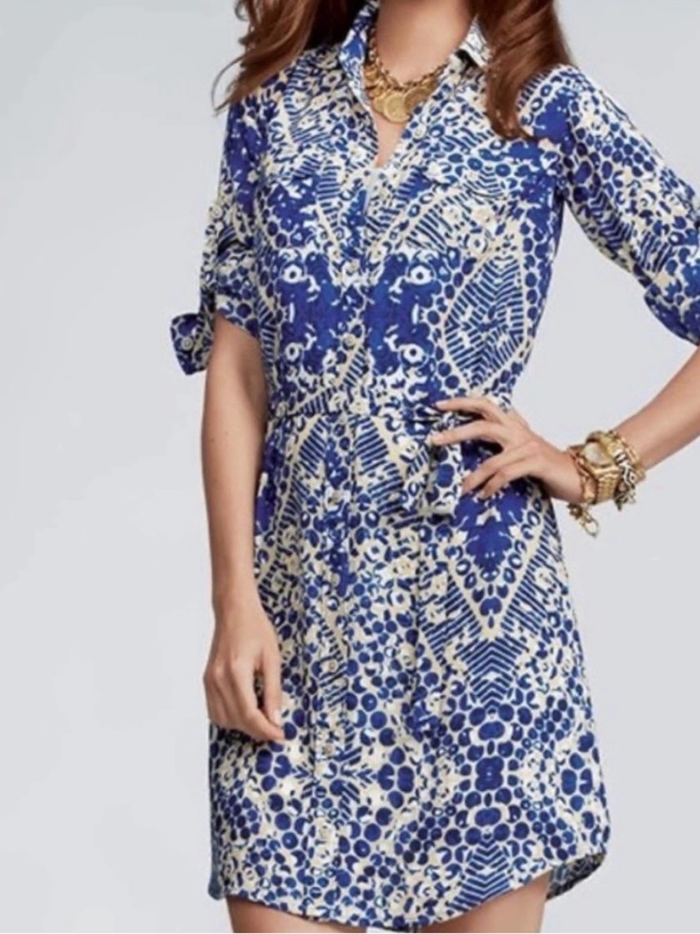 CAbi Blue and Cream Printed Shirt Dress